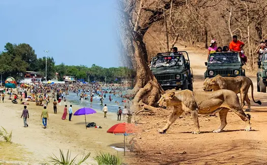 Fun Beach & Wildlife: Diu & Gir National Park